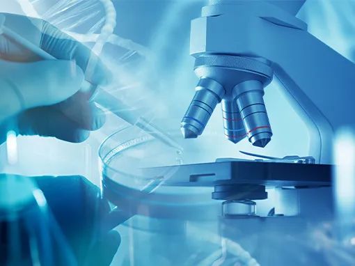 биомедицина биомедицина