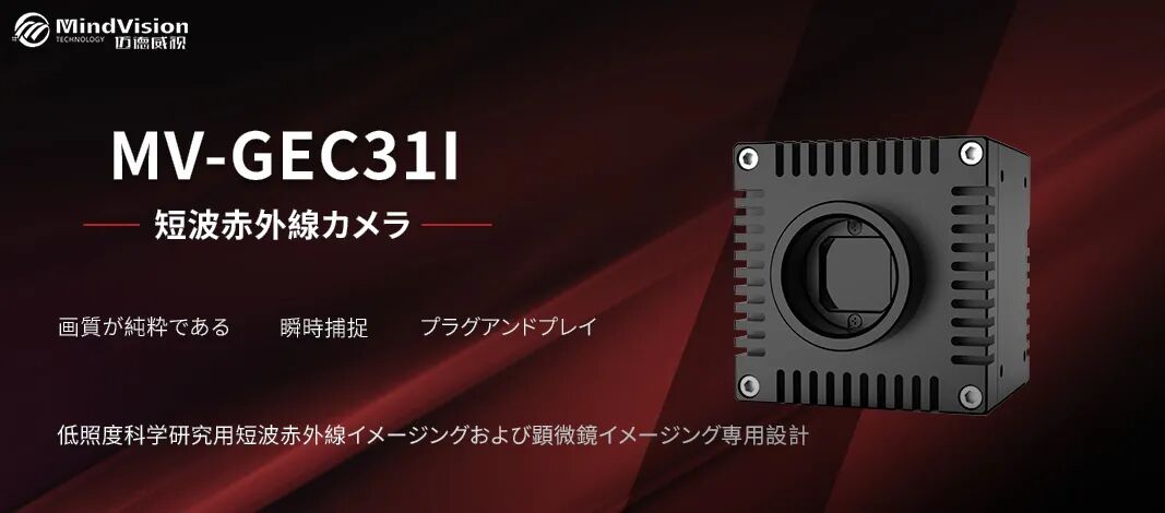 MV-GEC31I MV-GEC31I