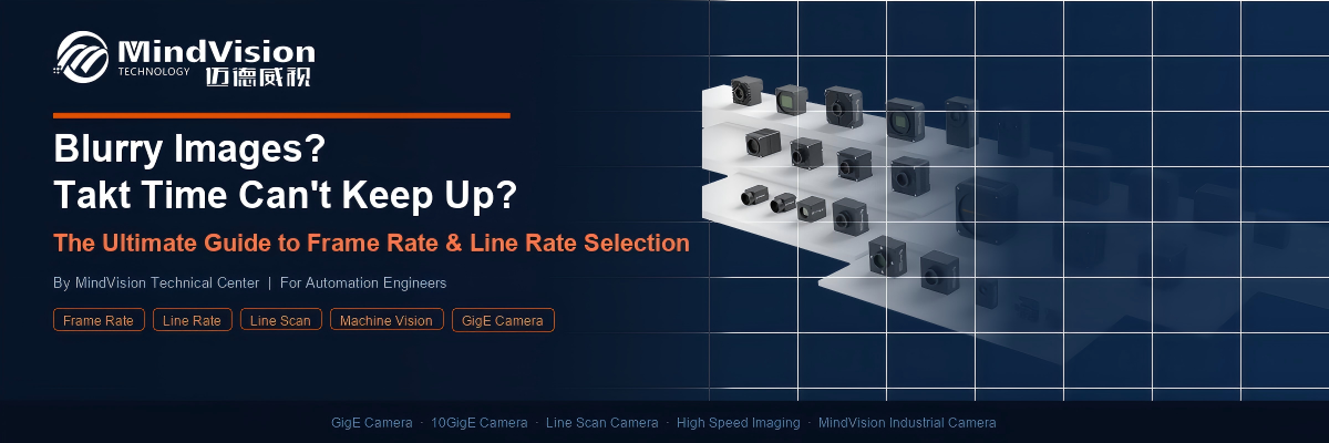 MindVision_Banner.png
