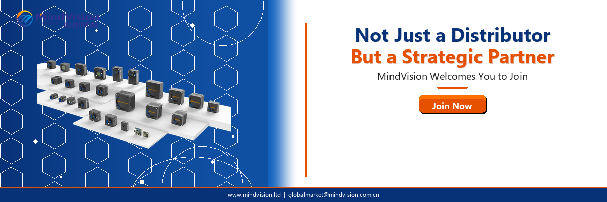 MindVision_Banner_StrategicPartner_EN.png