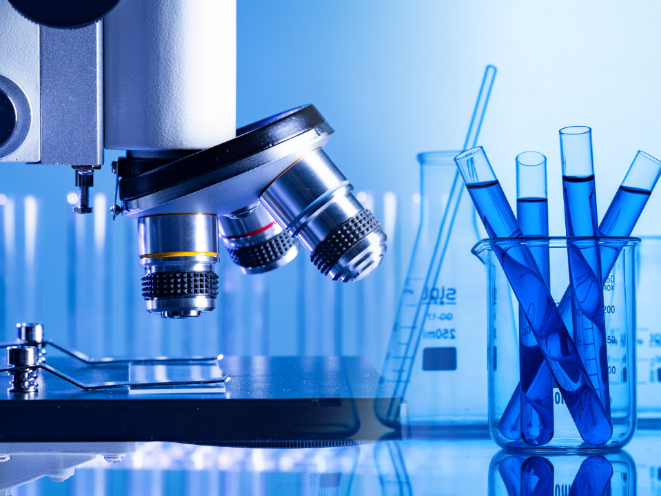 scientific research scientific research