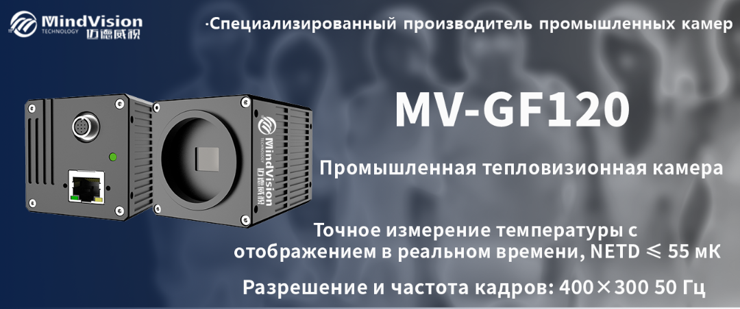 MV-GF120 MV-GF120