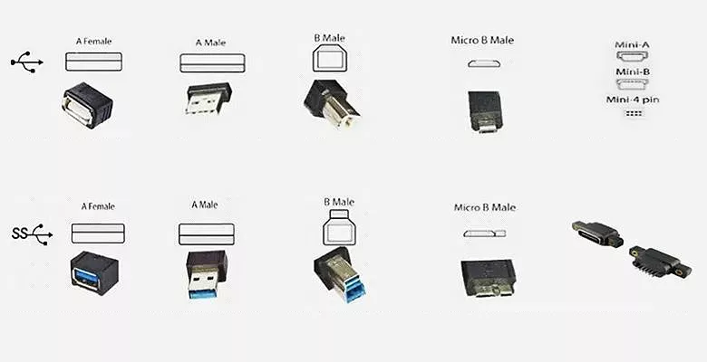 This image displays various types of USB connectors, arranged in two rows. The upper row features standard USB connectors, including Type A female (rectangular port, commonly found on computer hosts), Type A male (rectangular plug, used for USB drives, mice, etc.), Type B male (square with beveled edges, compatible with printers, older external hard drives), Micro B male (compact, used for older Android phones), and the gradually phased-out Mini series (once used for MP3 players and early mobile phones).

The lower row showcases SuperSpeed (SS, corresponding to USB 3.0 and above) connectors, including Type A female (blue internal tab, for high-speed computer ports), Type A male (blue marking inside the interface, for high-speed external hard drives, etc.), Type B male (with blue indicator, compatible with high-speed printers and peripherals), and Micro B male (designed for compact high-speed devices like older Android tablets). The far right features two less common specialized variants. Overall, this visual summary helps identify and distinguish the different USB connector forms.