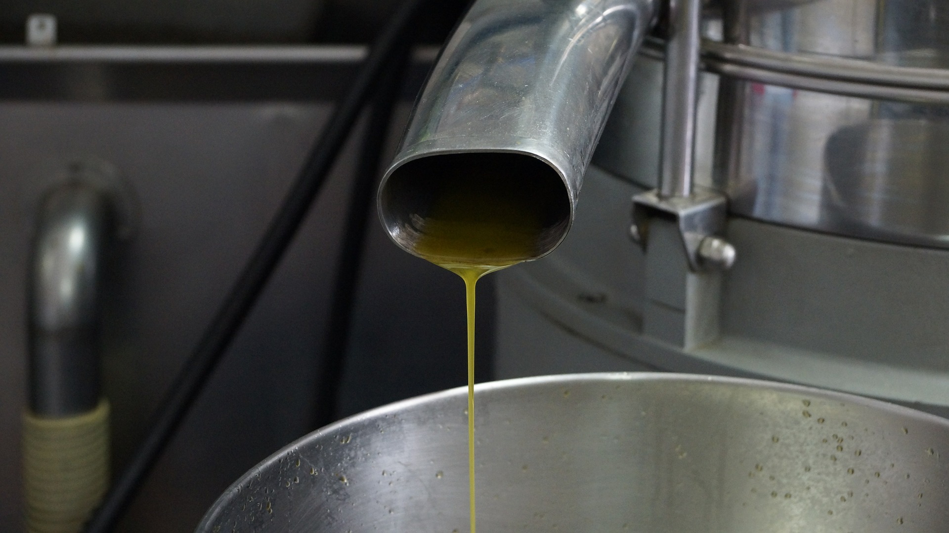 olive-oil-610366_1920.jpg