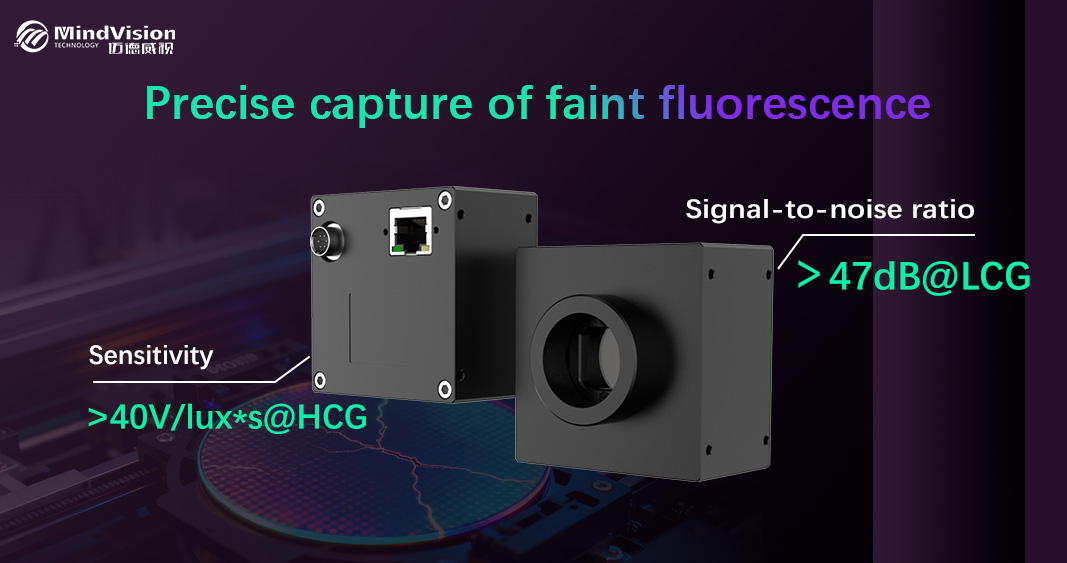 Precise capture of faint fluorescence
