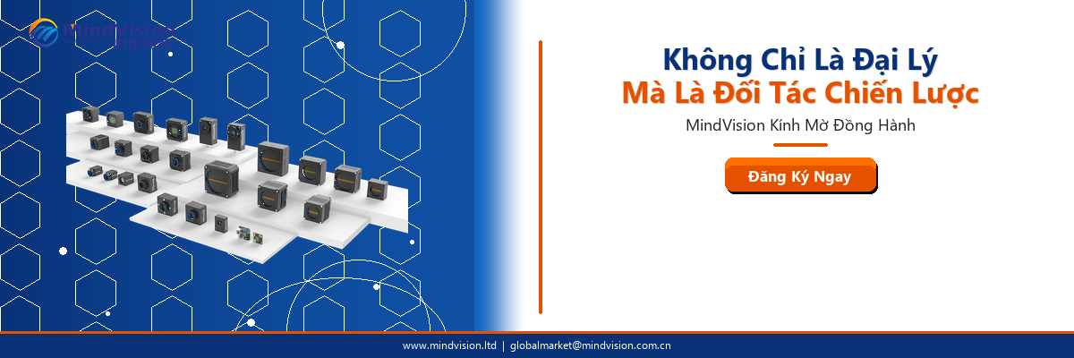MindVision_Banner_StrategicPartner_VI.png