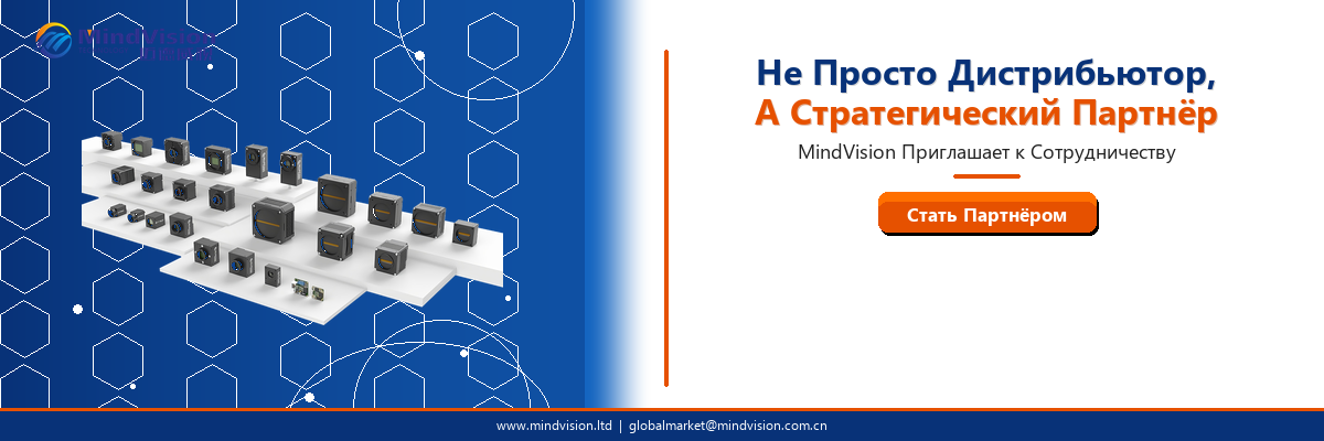 MindVision_Banner_StrategicPartner_RU.png
